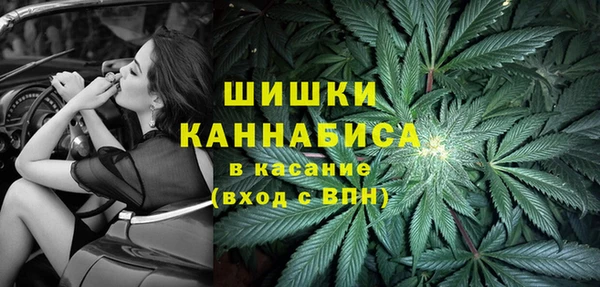 PSILOCYBIN Лагань