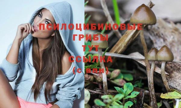 каннабис Кукмор