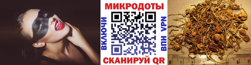 Галлюциногенные грибы GOLDEN TEACHER  где можно купить наркотик  Медвежьегорск 